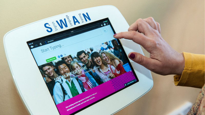 Swan-Dublin-Aulas-interativas